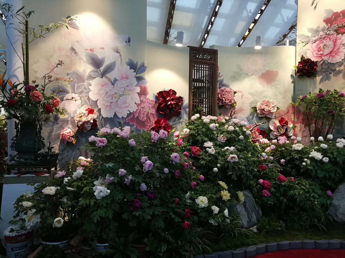 微信圖片_20190429210132.jpg