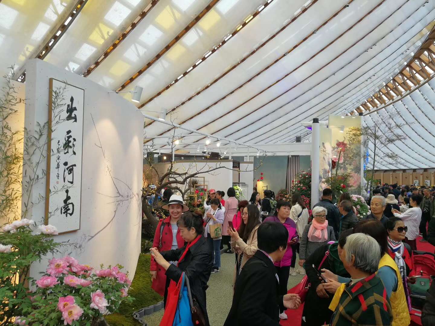 微信圖片_20190429210222.jpg
